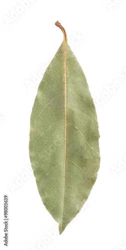 Bay laurel leaf