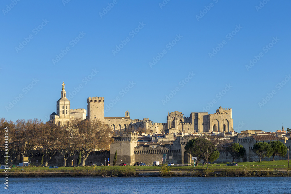 skyline of Avignon with gothic building of the popes palace