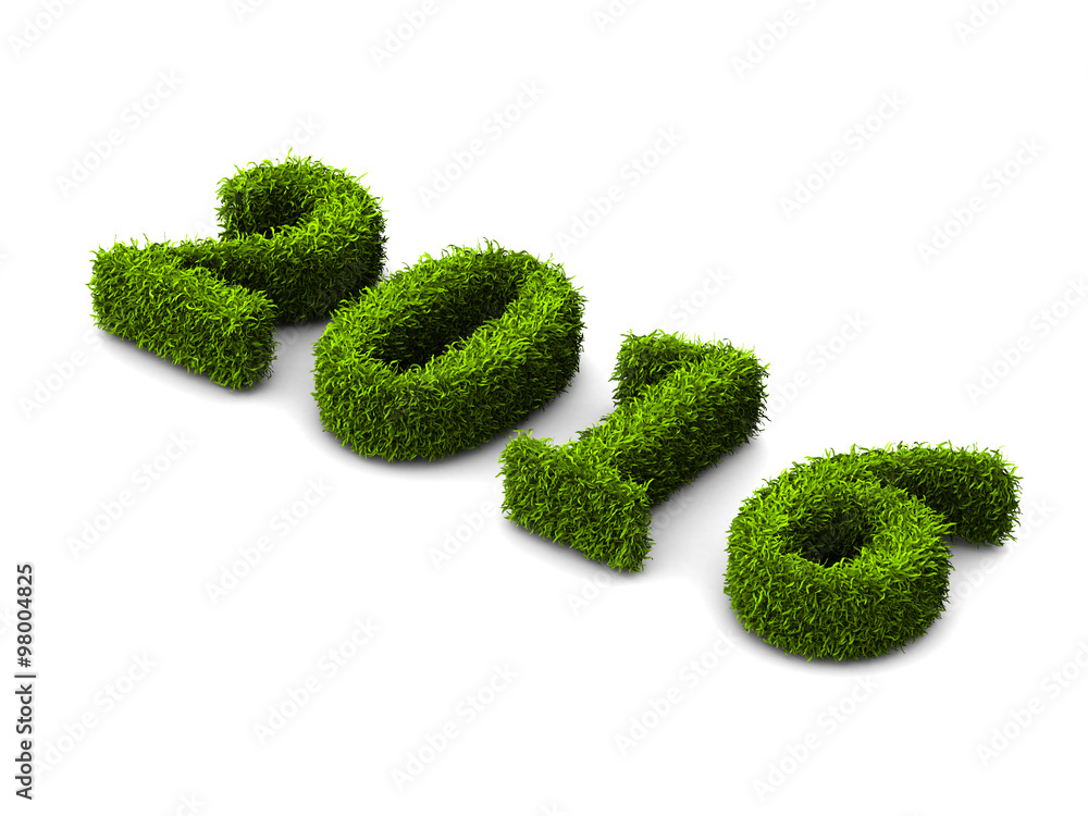 2016 new year grassed concept isolated on white background 2016 new year grassed concept isolated on white background