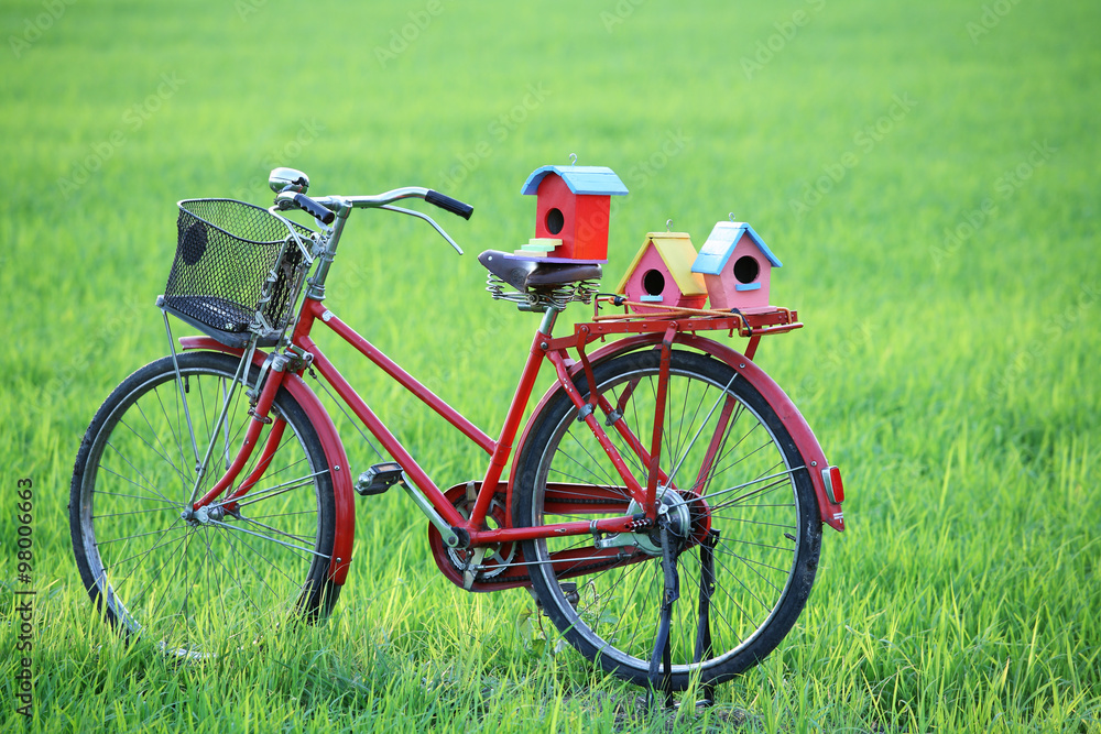 old bicycle and colorful bird house in paddy field. old bicycle and colorful bird house in paddy field.