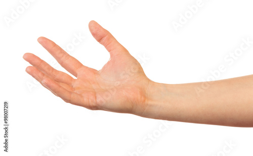 Female hand isolated
