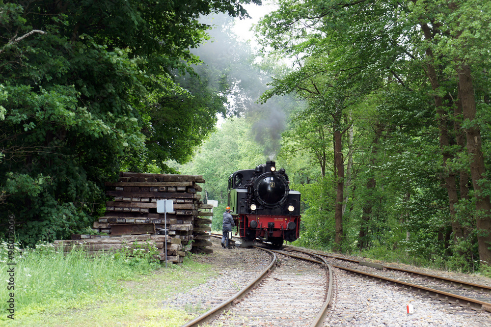 Fototapeta premium Romans lokomotywy parowej z maszynistą
