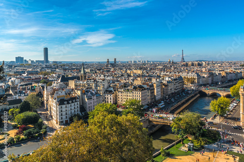 Paris Panorama. View from Cathedral Notre Dame de Paris. France.