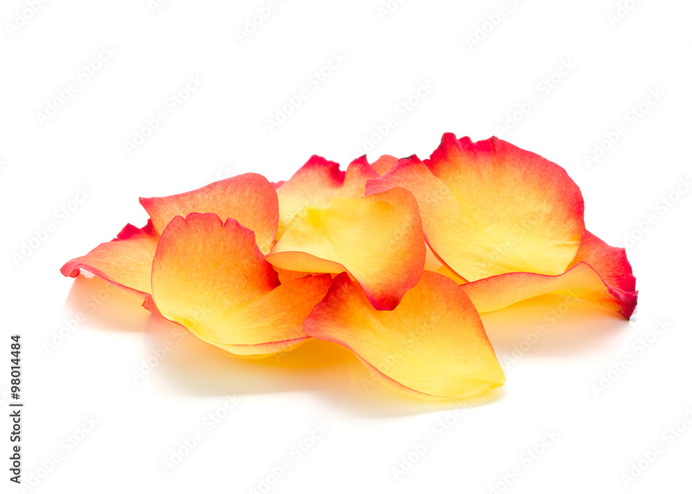 Rose petals