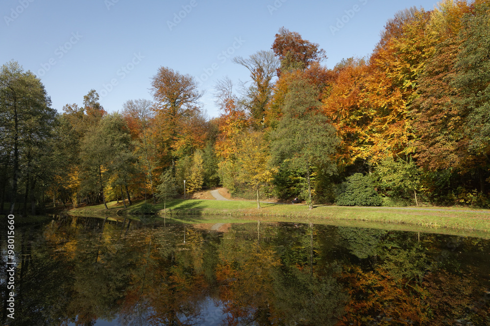 Bad Iburg, Teichlandschaft im Herbst, Osnabrücker Land, Niedersachsen, Deutschland Bad Iburg, Teichlandschaft im Herbst, Osnabrücker Land, Niedersachsen, Deutschland