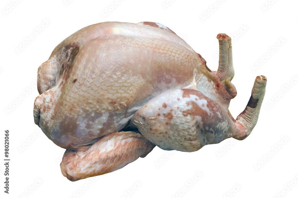 Turkey Raw and Plucked Turkey Raw and Plucked