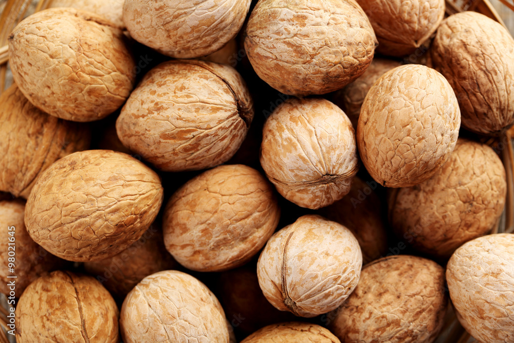 Walnut isolated on a white background Walnut isolated on a white background