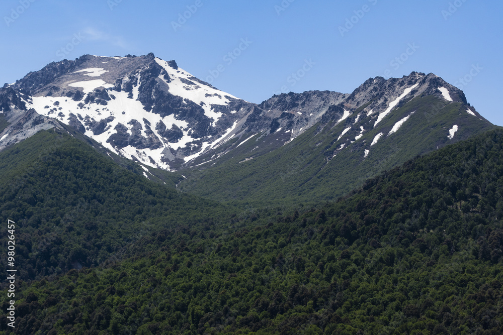 Fototapeta premium snow peaks, trees on slope