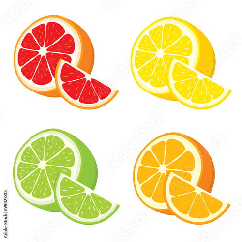 Vector set of lemon, orange, lime, grapefruit slices on white background.
