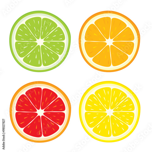Vector set of lemon, orange, lime, grapefruit slices on white background.