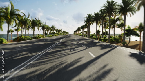 Riding on the road along the palm beach