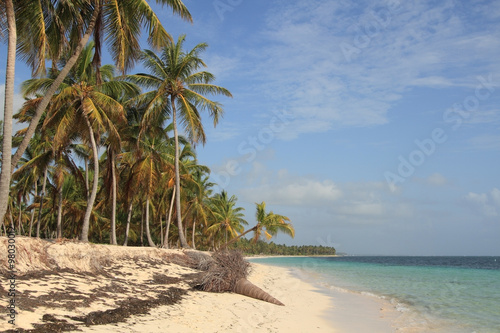 Tropical beach in Dominican Republic