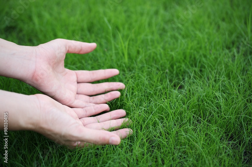 hand touching green grass. © sakhorn38