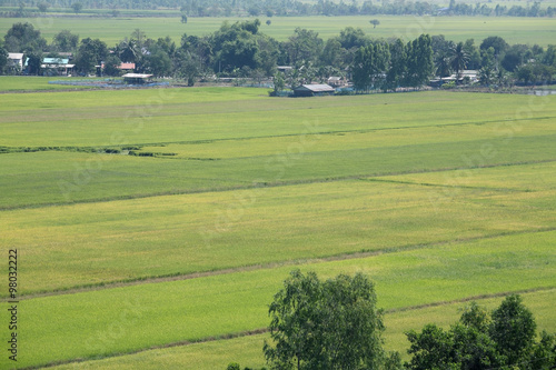 paddy field and thai style village.