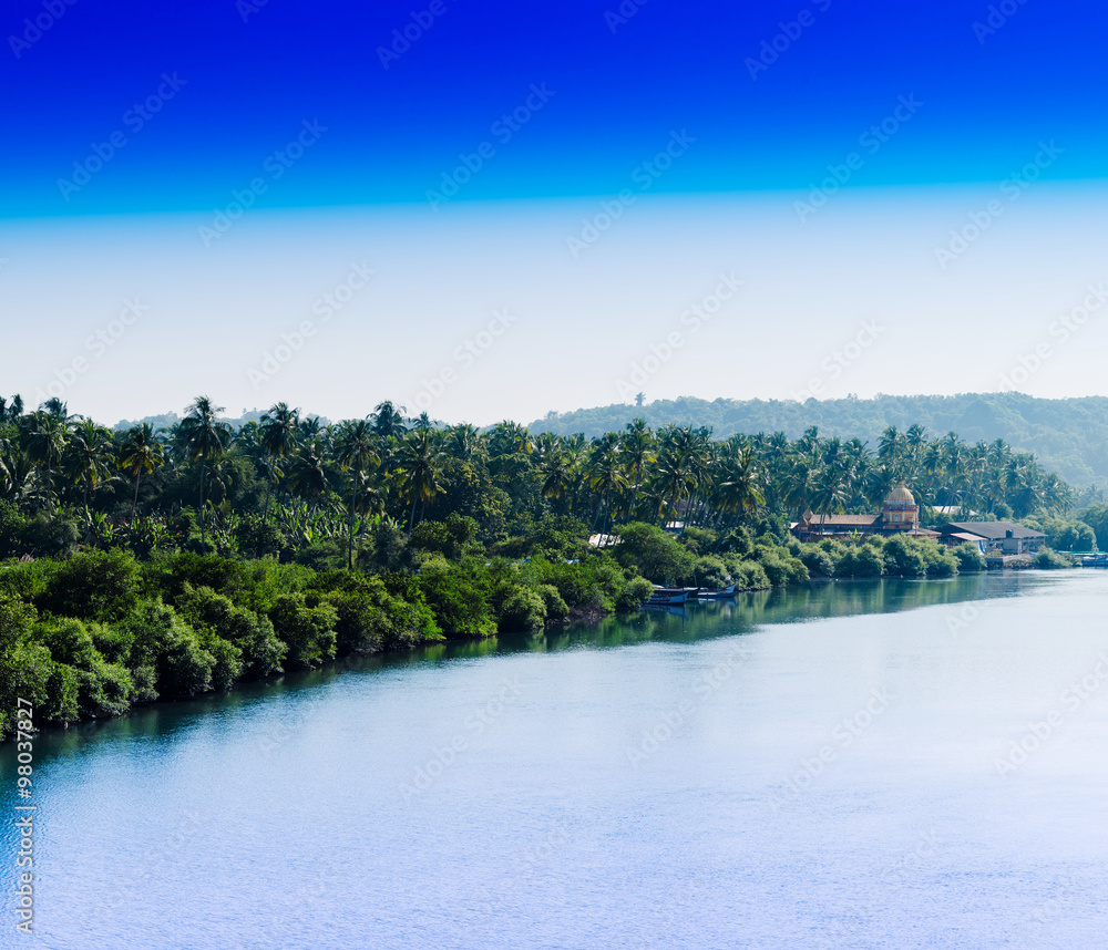 Horizontal Indian jungle beach landscape background backdrop