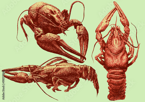 illustration with cancers of various shapes