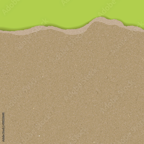 Vector Carton Paper Texture with a continuous torn edge