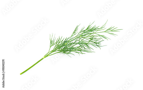 Green dill isolated on white background. Studio macro