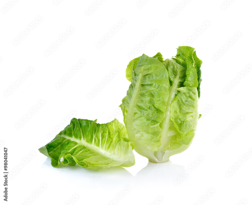 fresh baby cos (lettuce) on white background fresh baby cos (lettuce) on white background