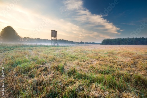 foggy morning meadow. landscape..