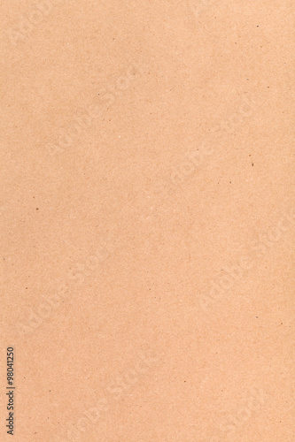 vertical background from brown packaging cardboard