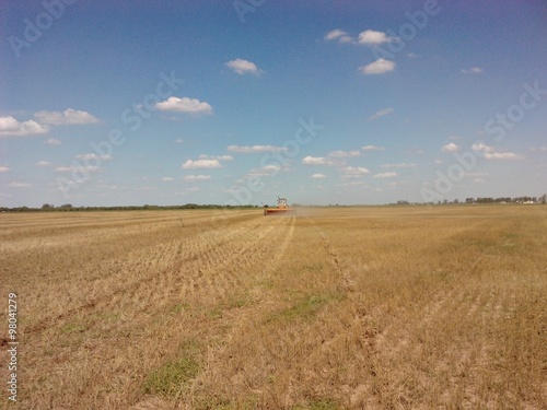 Obraz na plátně CAMPO SEMBRADO