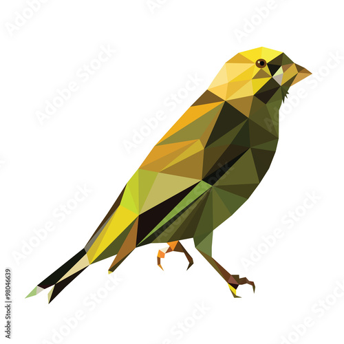 low poly bird vector