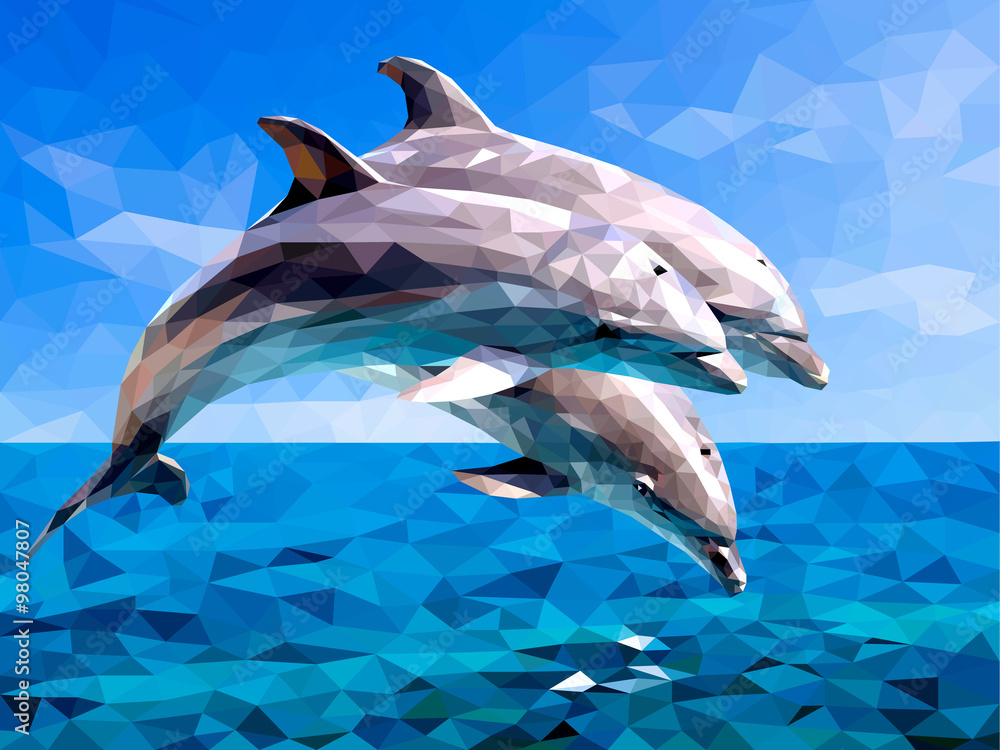Fototapeta premium dolphin