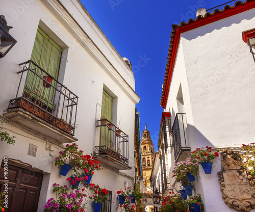 Flower Street Torre del Aliminar Tower Mezquita Cordoba Spain photo