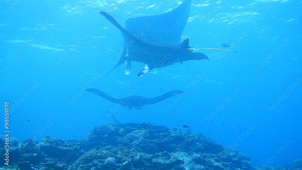 underwater underwater