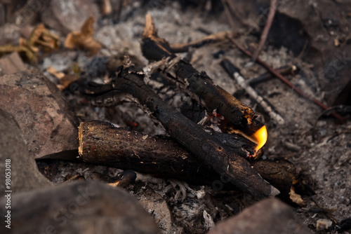 Wallpaper Mural Campfire in the winter forest Torontodigital.ca