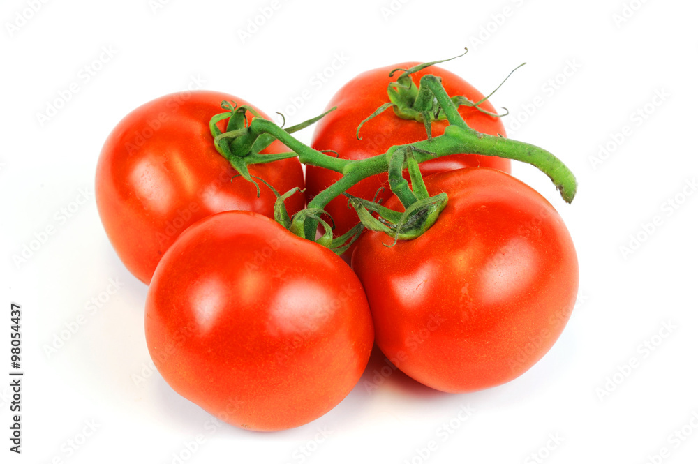 tomato on white background tomato on white background