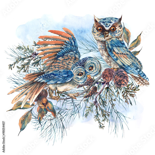 Watercolor greeting card with owls, spruce branches and fir cone