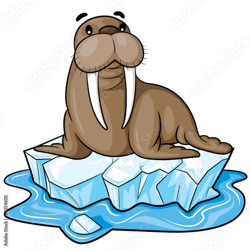 Walrus Cartoon
Illustration of cute cartoon walrus. photo