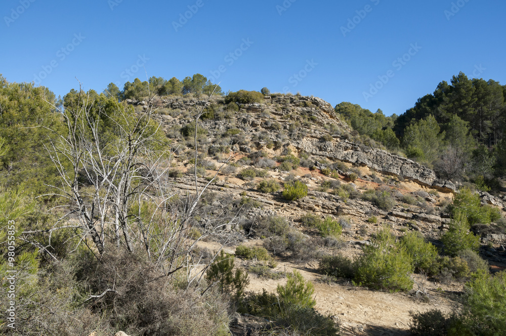 Mediterranean shrublands over limestones and sandstones, with esparto, lavender, rosemary, kermes oak, junipers, etc. Photo taken in Buendia, Cuenca, Spain.