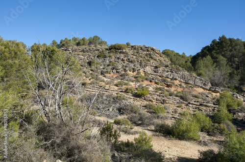 Mediterranean shrublands over limestones and sandstones, with esparto, lavender, rosemary, kermes oak, junipers, etc. Photo taken in Buendia, Cuenca, Spain.