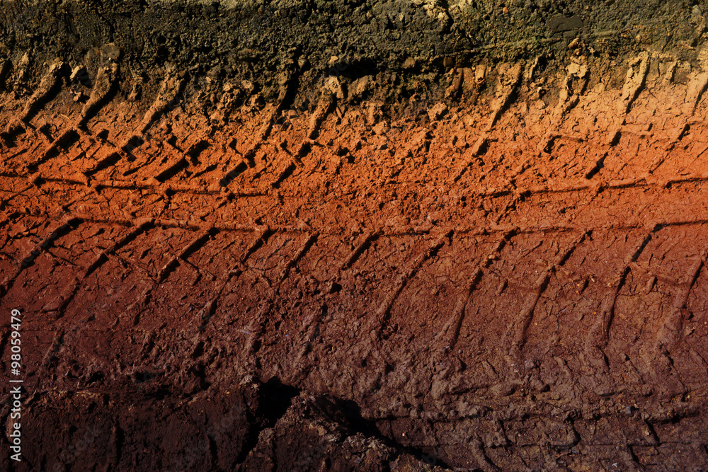 Fototapeta premium abstract wheel trail, dry soil, sweet dreamy