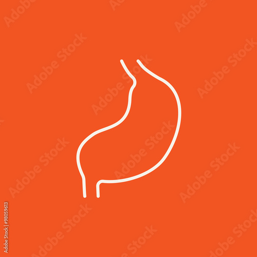 Stomach line icon.