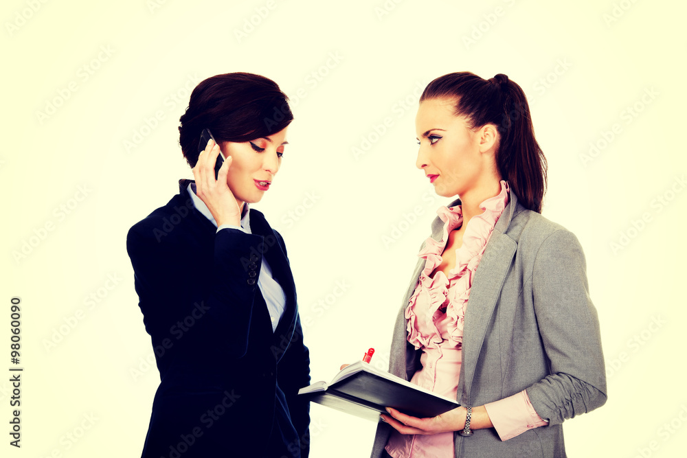 Two businesswomans discussing with eachother. Two businesswomans discussing with eachother.