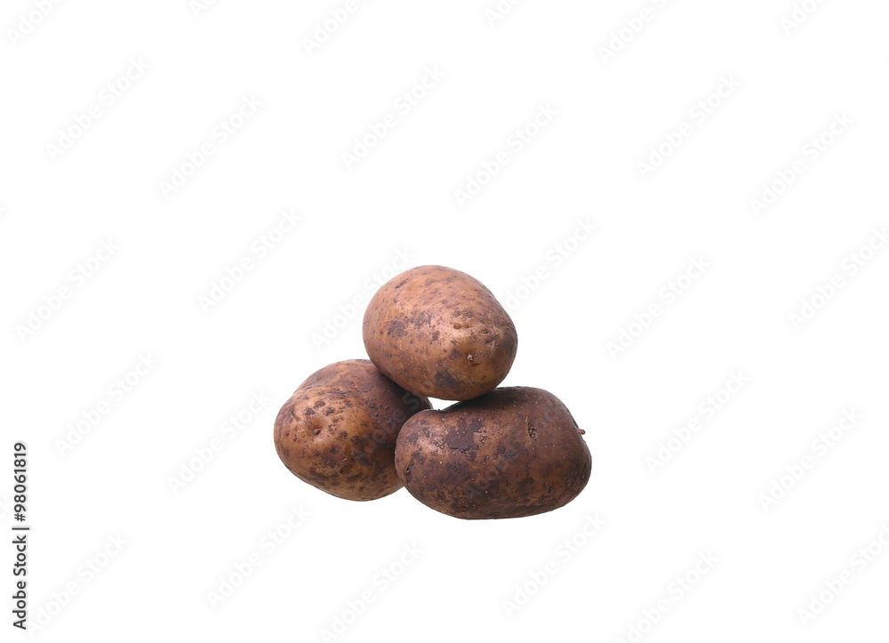 potato isolated on white background close up potato isolated on white background close up