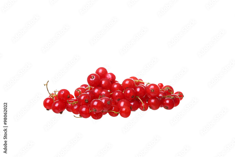 Branches of berry red currants isolated on a white background Branches of berry red currants isolated on a white background
