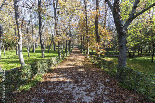 Obraz na płótnie Retiro Park in Msdrid w salonie