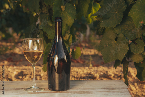 Fototapeta Naklejka Na Ścianę i Meble -  One glass and bottle of the white wine in autumn vineyard. on wooden table Harvest time, sundown on vineyard in autumn