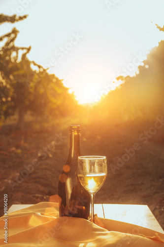 One glass and bottle of the white wine in autumn vineyard. on wooden table Harvest time  sundown on vineyard in autumn