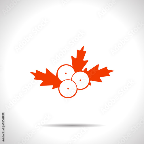 Vector christmas icon.