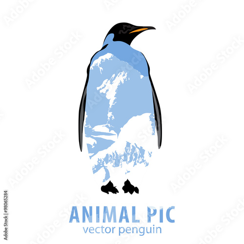 Penguin and mountains