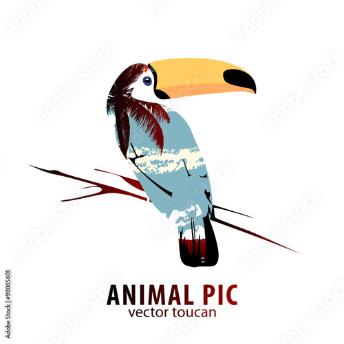 toucan and palm trees