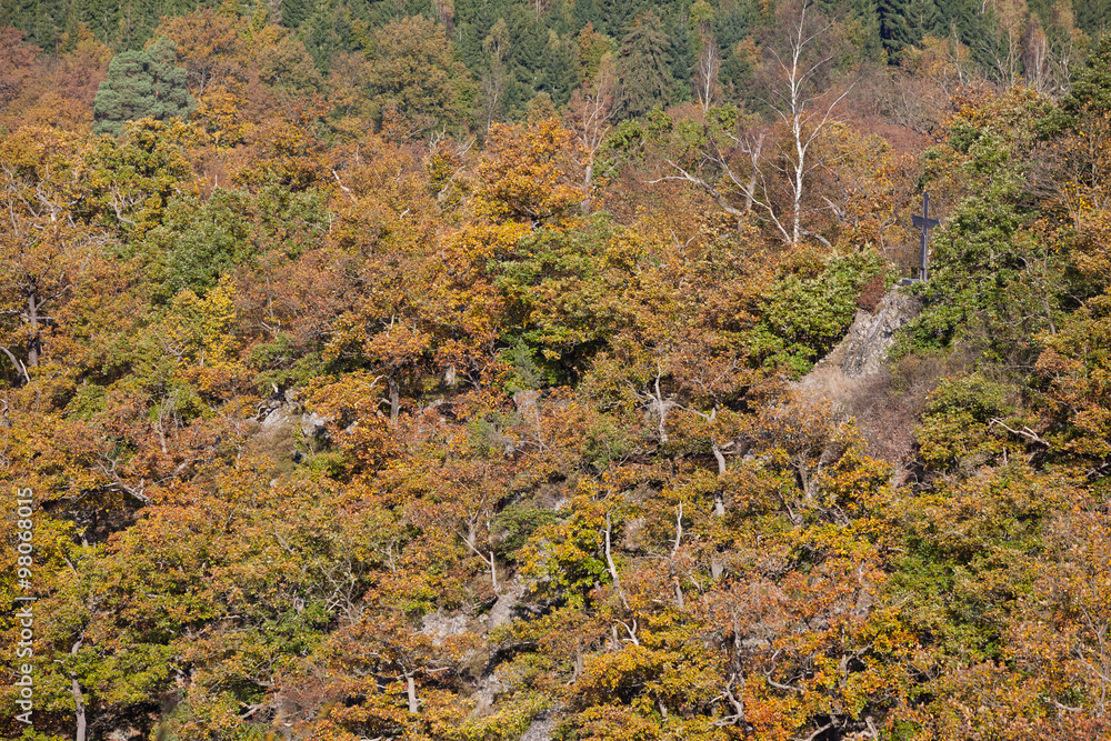 Blick auf die felsigen Hang des Selketal