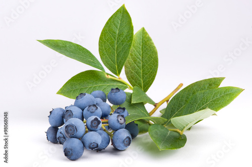 Group of blueberries with leaves on a branch