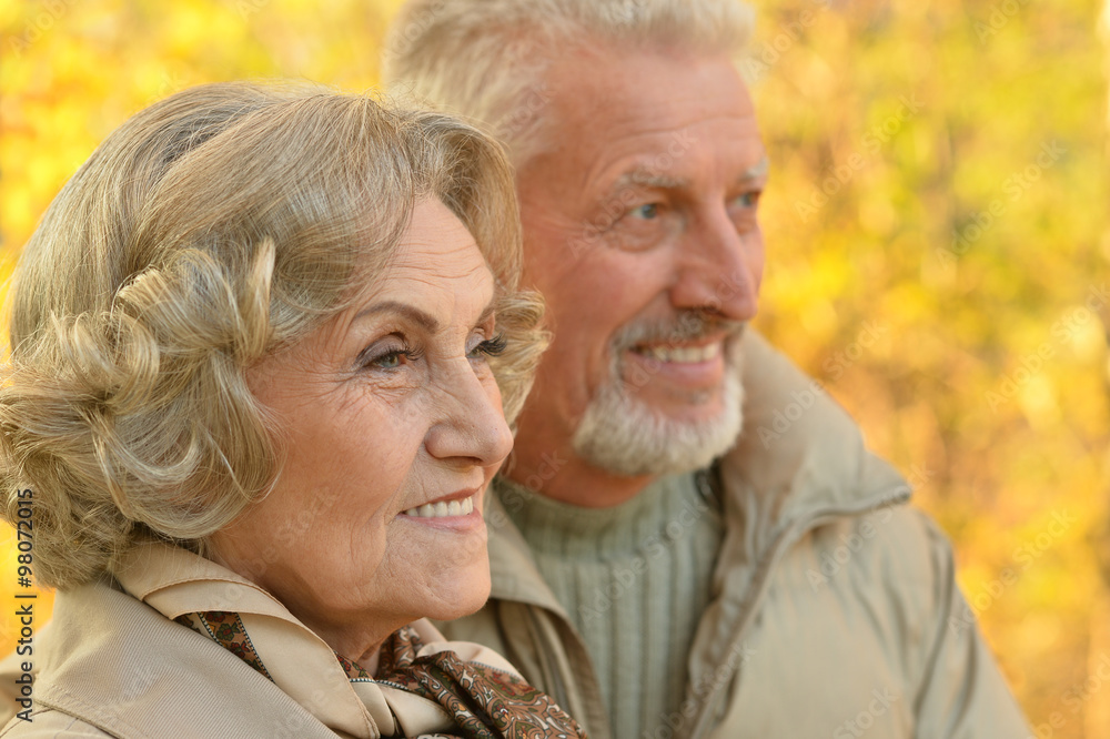 Senior couple in autumn park